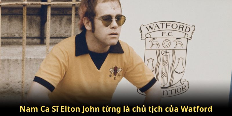Ca sĩ Elton John từng là chủ tịch của câu lạc bộ Watford