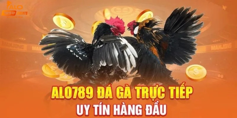 Ưu điểm khi chơi đá gà Alo789