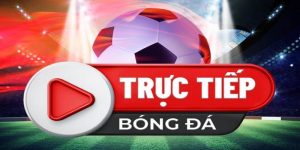 Trực tiếp bóng đá Bongdalu